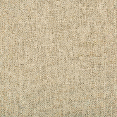 Kravet Smart 35060.16.0 Kf Smt:: Upholstery Fabric in Beige