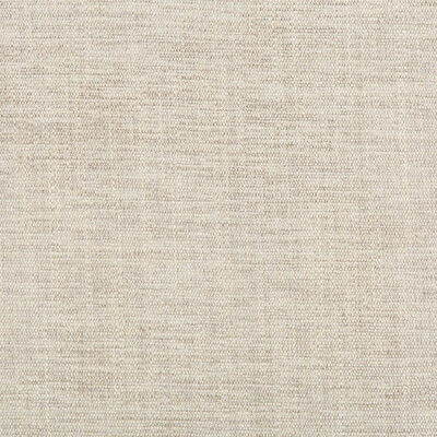 Kravet Basics 35297.11.0 Rutledge Upholstery Fabric in Grey , White , Pewter