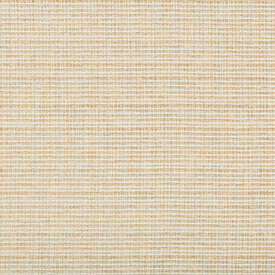 Kravet Basics 35345.16.0 Saddlebrook Upholstery Fabric in Beige , White , Sand