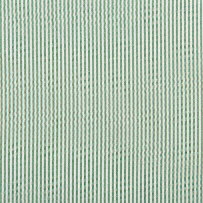 Kravet Basics 35374.30.0 Kravet Basics Multipurpose Fabric in Green , White