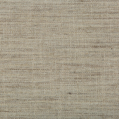 Kravet Design 35377.11.0 Granulated Upholstery Fabric in Grey , Light Grey , Mist