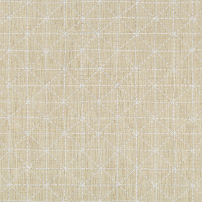 Kravet Design 35380.116.0 Appointed Multipurpose Fabric in Neutral , White , Papyrus