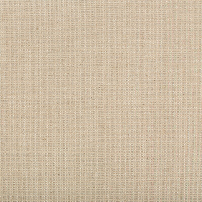 Kravet Smart 35395.16.0 Kravet Smart Upholstery Fabric in Beige