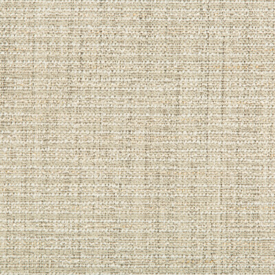 Kravet Smart 35396.1123.0 Kravet Smart Upholstery Fabric in Ivory , Khaki