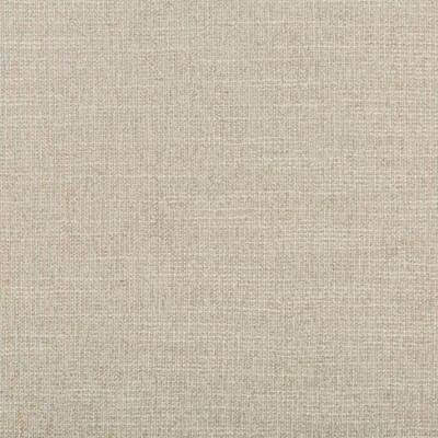 Kravet Design 35397.11.0 Adaptable Upholstery Fabric in Light Grey , Light Grey , Quartz