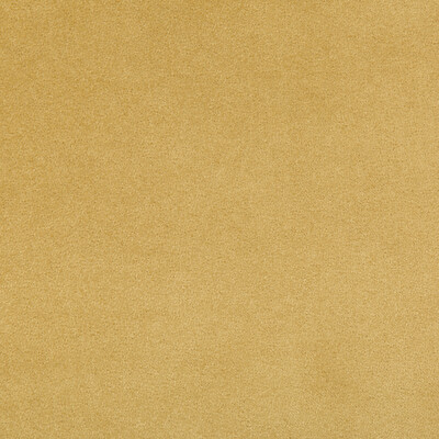 Kravet Contract 35402.4.0 Madison Velvet Upholstery Fabric in Yellow , Yellow , Marigold