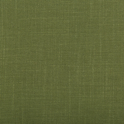 Kravet Design 35520.13.0 Aura Multipurpose Fabric in Green , Green , Vine