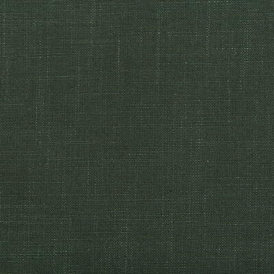 Kravet Design 35520.30.0 Aura Multipurpose Fabric in Green , Green , Fern