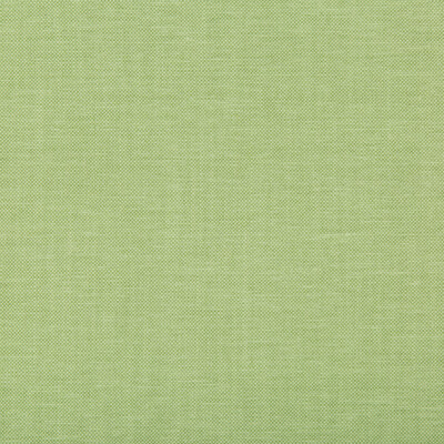 Kravet Basics 35543.13.0 Oxfordian Multipurpose Fabric in Celery , Green , Leaf