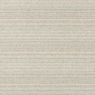 Kravet Couture 35566.1615.0 Halau Upholstery Fabric in Beige , Ivory , Dune