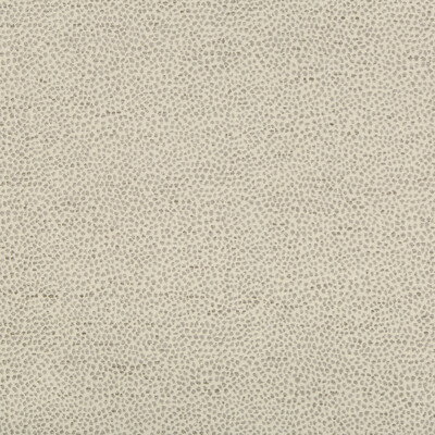 Kravet Design 35595.11.0 Kravet Design Upholstery Fabric in Light Grey , Silver
