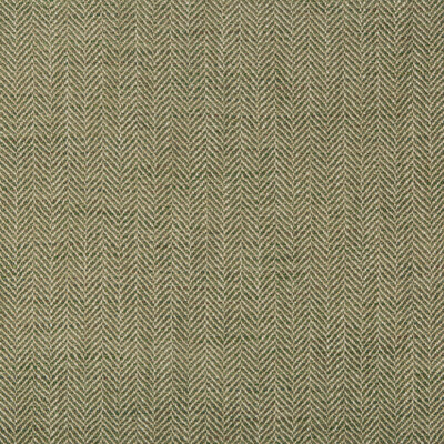 Kravet Design 35614.3.0 Kravet Design Upholstery Fabric in Green