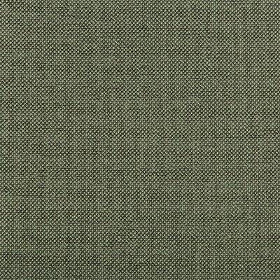 Kravet Contract 35744.321.0 Williams Upholstery Fabric in Pistachio/Green/Charcoal