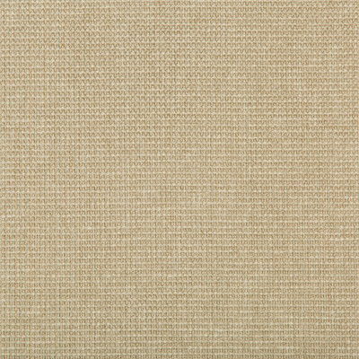 Kravet Contract 35745.116.0 Burr Upholstery Fabric in Beige , Beige , Linen