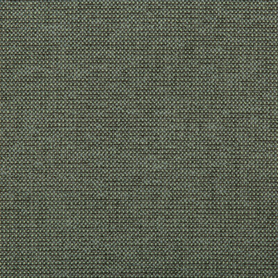 Kravet Contract 35745.321.0 Burr Upholstery Fabric in Green , Charcoal , Juniper