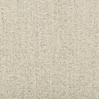 Kravet Contract 35758.111.0 Kravet Contract Upholstery Fabric in White/Grey