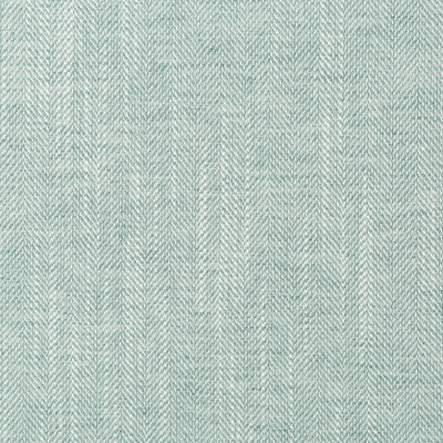 Kravet Basics 35763.135.0 Mataru Multipurpose Fabric in White , Green , Spa