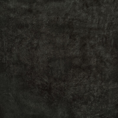 Kravet Couture 35886.21.0 Brindisi Upholstery Fabric in Charcoal
