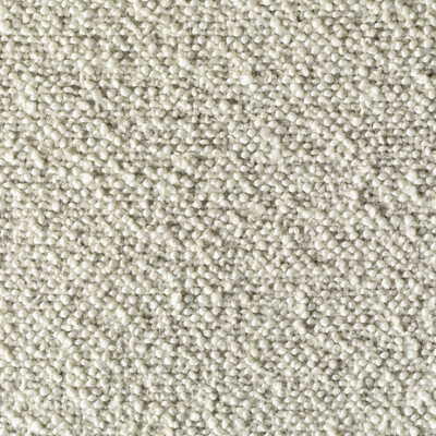 Kravet Couture 35894.1.0 Aquilla Upholstery Fabric in Light Grey/White