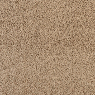 Kravet Basics 35900.16.0 Curly Upholstery Fabric in Beige , Beige , Pebble