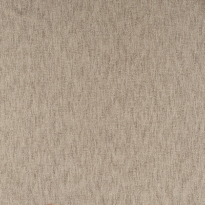 Kravet Basics 35901.106.0 Palos Verde Multipurpose Fabric in White , Taupe , Bark