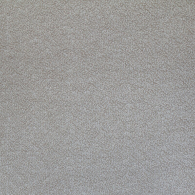 Kravet Couture 35903.111.0 Rahmani Upholstery Fabric in White , White , Crystal