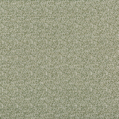 Kravet Smart 35971.311.0 Kravet Smart Upholstery Fabric in Green/Light Grey