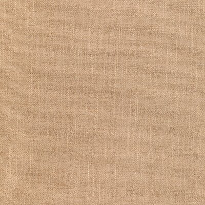 Kravet 35973.116.0 Kravet Smart Upholstery Fabric in Beige/Camel