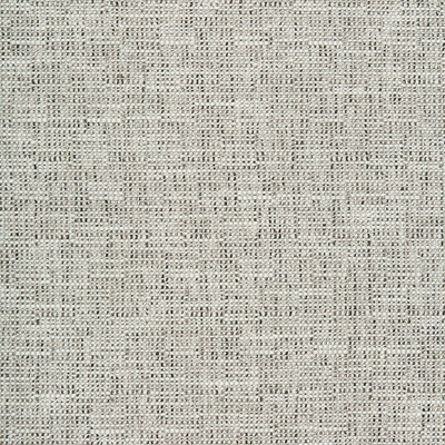 Kravet Design 35980.121.0 Oaks Upholstery Fabric in White , Grey , Granite