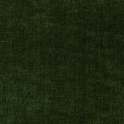 Kravet Smart 36076.30.0 Kravet Smart Upholstery Fabric in Green/Olive Green