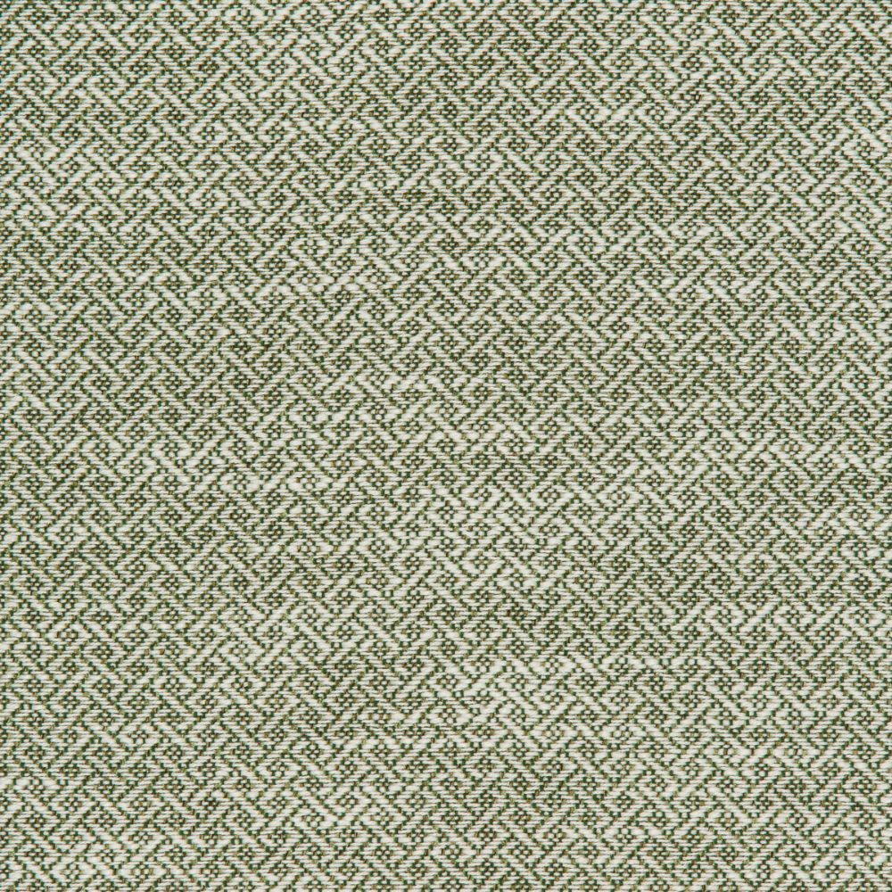 Kravet Design 36086.31.0 Kravet Design Upholstery Fabric in Green/White