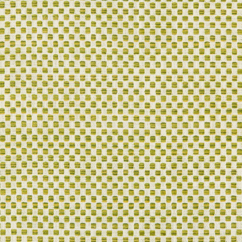 Kravet Design 36090.340.0 Kravet Design Upholstery Fabric in White/Green/Yellow