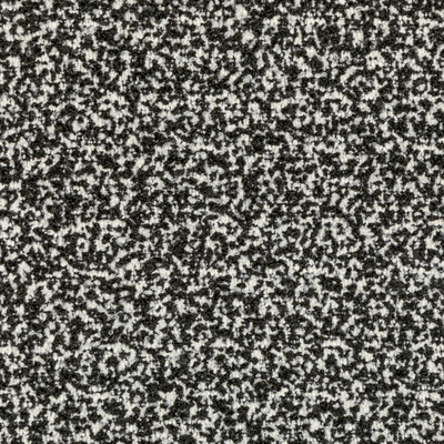 Kravet 36105.81.0 Flying High Upholstery Fabric in Ivory Noir/Black/White