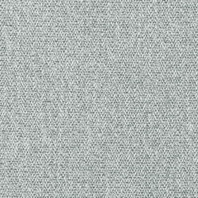 Kravet 36107.11.0 Saumur Upholstery Fabric in Platinum/Grey