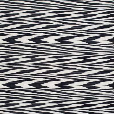 Kravet 36156.81.0 Atacama Outdoor Multipurpose Fabric in Black/White