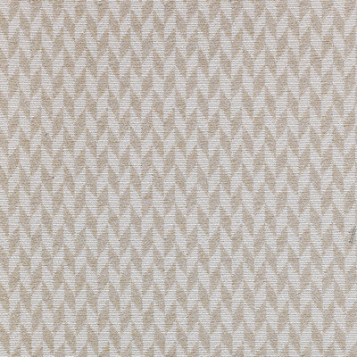 Kravet 36200.106.0 Tupai Outdoor Upholstery Fabric in Ivory/Beige/Taupe