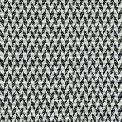 Kravet 36200.81.0 Tupai Outdoor Upholstery Fabric in Black/White