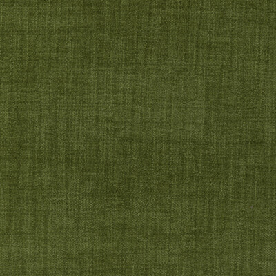 Kravet 36255.30.0 Accommodate Upholstery Fabric in Moss/Light Green/Green