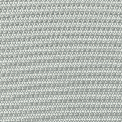 Kravet 36256.11.0 Mobilize Upholstery Fabric in Arctic/Grey/Silver