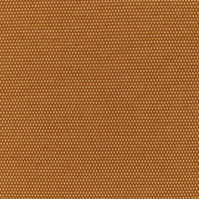 Kravet 36256.12.0 Mobilize Upholstery Fabric in Ginger/Orange/Gold