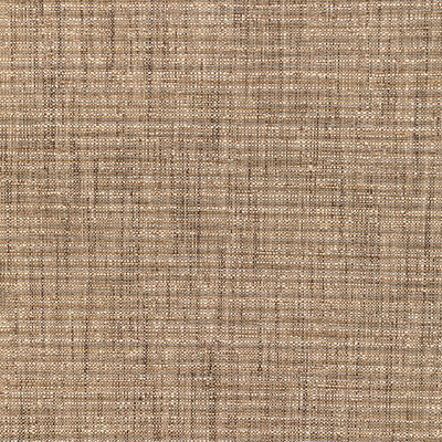 Kravet 36289.16.0 Kravet Smart Upholstery Fabric in Beige/Gold/Brown
