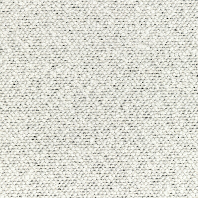 Kravet Couture 36329.1.0 Cosmic Plush Upholstery Fabric in Ivory Noir/Ivory/Silver/Metallic