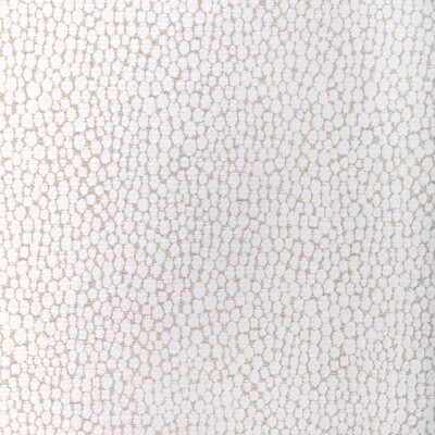 Kravet Couture 36349.101.0 Starfall Upholstery Fabric in Ivory Silver/White/Ivory