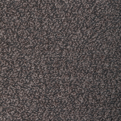 Kravet Couture 36396.21.0 Woolywooly Upholstery Fabric in Fig/Charcoal/Grey