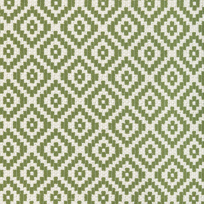 Kravet Design 36411.3.0 Kravet Design Upholstery Fabric in Green/White