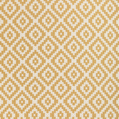 Kravet Design 36411.4.0 Kravet Design Upholstery Fabric in Yellow/White