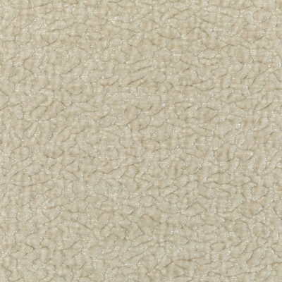 Kravet 36596.1.0 Kravet Couture Upholstery Fabric in White/Ivory