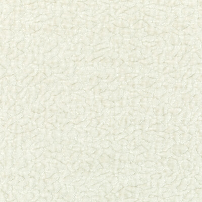 Kravet 36596.101.0 Barton Chenille Upholstery Fabric in Cloud/White