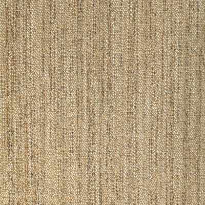 Kravet Contract 36748.16.0 Delfino Upholstery Fabric in Dune/Brown/Taupe/Beige