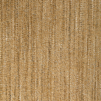 Kravet Contract 36748.4.0 Delfino Upholstery Fabric in Honey/Gold/Brown/White